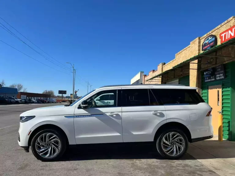 WhatsApp Image 2026-03-12 at 17.41.39