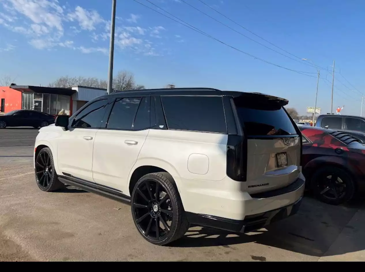 WhatsApp Image 2026-03-12 at 18.28.01