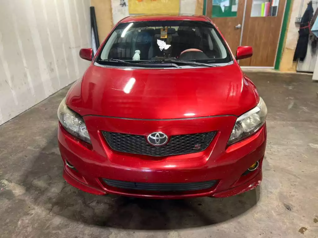 WhatsApp Image 2026-03-12 at 18.28.02 (1)