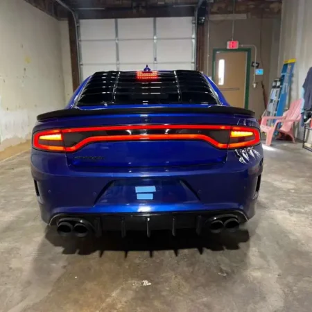 WhatsApp Image 2026-03-12 at 18.07.28 (2)