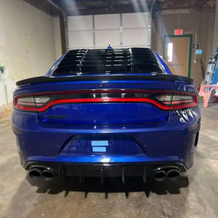 WhatsApp Image 2026-03-12 at 18.07.28