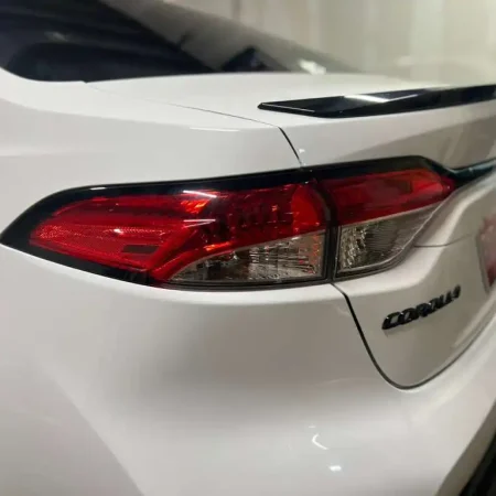 WhatsApp Image 2026-03-12 at 18.07.31