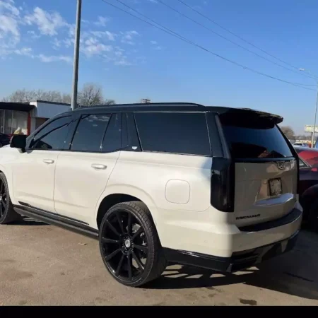 WhatsApp Image 2026-03-12 at 18.28.01