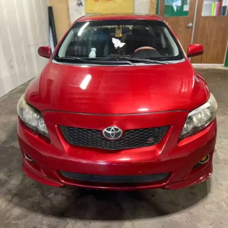 WhatsApp Image 2026-03-12 at 18.28.02 (1)